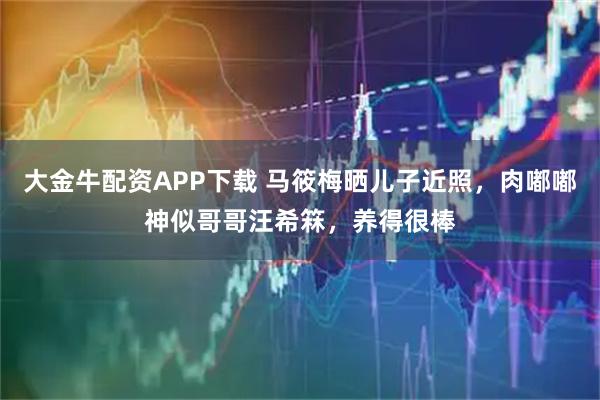 大金牛配资APP下载 马筱梅晒儿子近照，肉嘟嘟神似哥哥汪希箖，养得很棒